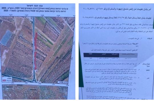 الاحتلال يخطر بإزالة مئات أشجار الزيتون في بلدة تقوع جنوب شرق بيت لحم