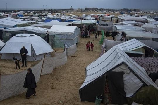 غرفة العمليات الحكومية في غزة تطلق نداءً عاجلًا لإنقاذ آلاف النازحين المهددين بالغرق مع اقتراب الشتاء