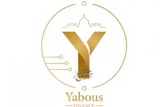 المالية: إتاحة التسجيل في برنامج “يبوس” لسبع مؤسسات حكومية جديدة