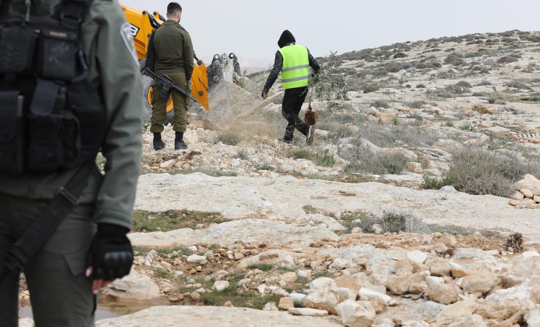 قوات الاحتلال تقتحم عدة مناطق وتعتدي على شاب في نابلس.. ومستوطنون يصيبون 4 مواطنين شرق طوباس