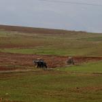 الاحتلال يصدر قرارات عسكرية بالاستيلاء على أراضٍ واسعة في طوباس والأغوار الشمالية