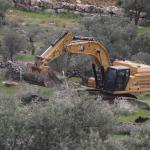 تصعيد إسرائيلي في الضفة: إغلاقات واعتقالات واعتداءات للمستوطنين واقتلاع مئات أشجار الزيتون