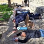 241 مستوطنا يقتحمون المسجد الأقصى تحت حماية شرطة الاحتلال