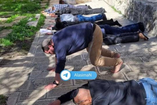 241 مستوطنا يقتحمون المسجد الأقصى تحت حماية شرطة الاحتلال