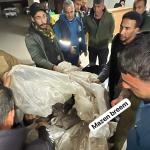 استشهاد مواطن وإصابة آخرين بغارات الاحتلال في خان يونس