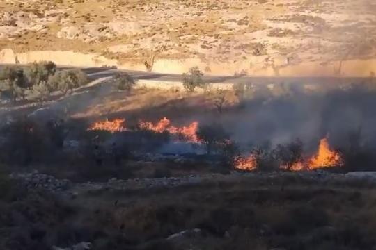 900 حريق للاحتلال والمستوطنين في ممتلكات الفلسطينيين منذ 2023