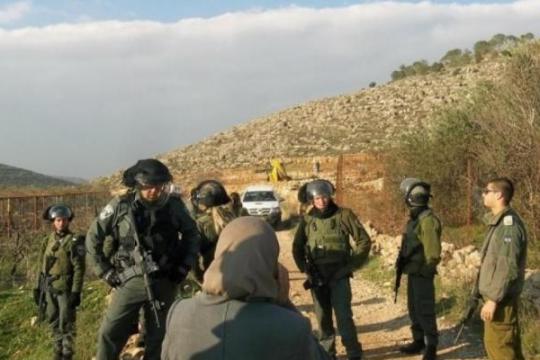 الاحتلال الإسرائيلي يصدر قرارات للاستيلاء على 268 دونماً في سهل البقيعة بالأغوار الشمالية