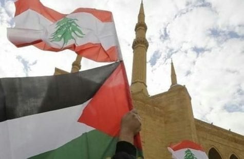 فعاليات لبنانية