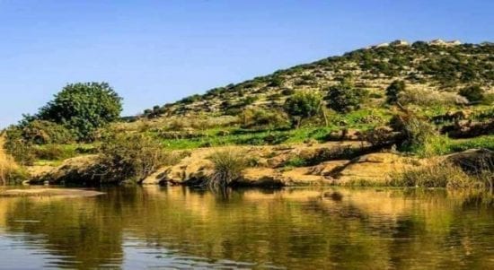 محميات طبيعية