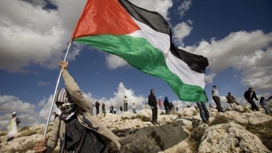 يوم الأرض .. الإحصاء الفلسطيني يستعرض الذكرى ال44 بالأرقام والإحصائيات