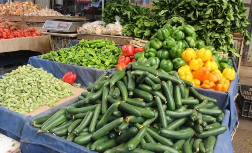 بسبب شروط الاحتلال.. مزارعو غزة يقررون وقف تسويق الخضروات للضفة