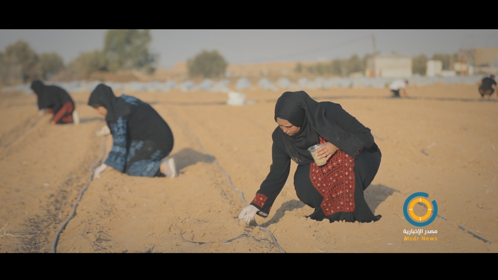 زراعة غزة تدعو أصحاب الأراضي الفارغة للتسجيل بمشروع تخضير