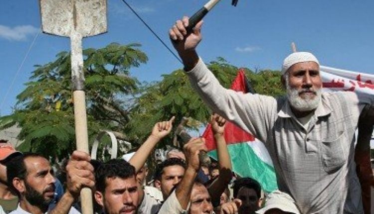 العمصي: إرتفاع نسبة الفقر في صفوف العمال لـ 75%