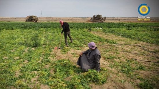 توغل محدود لآليات الاحتلال شمال قطاع غزة