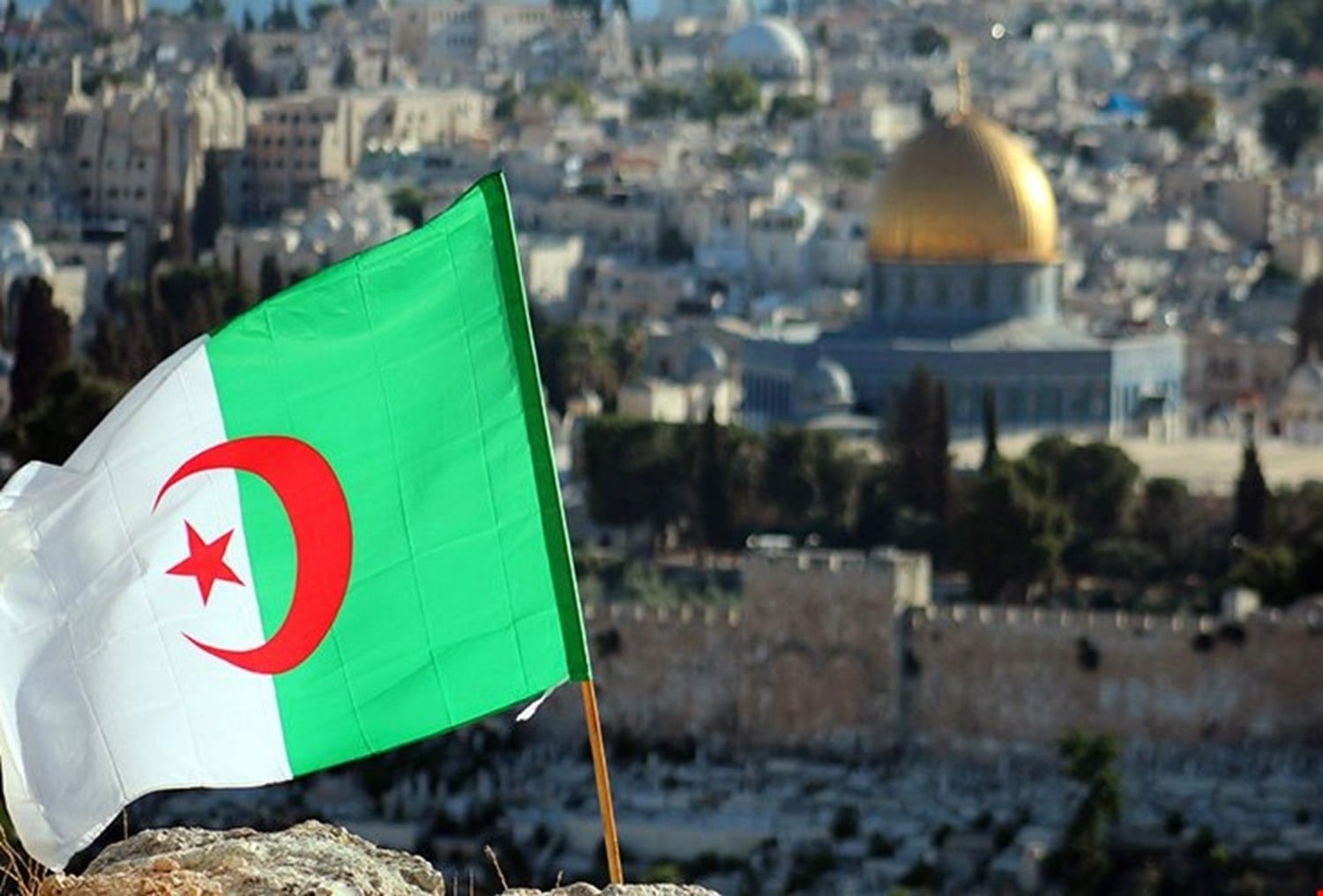 الجزائر تعلن انطلاق قطار المصالحة الفلسطينية