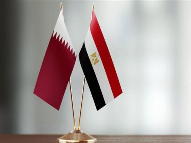 الرئيس المصري يدعو أمير قطر لزيارة القاهرة بأقرب فرصة
