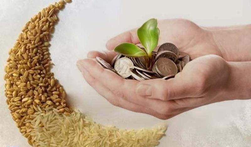 وزارة المالية تقرر تسديد زكاة الفطر من مستحقات موظفي غزة