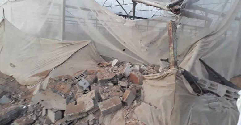 الزراعة بغزة: 5 مليون دولار خسائر القطاع الزراعي الأولية بسب العدوان
