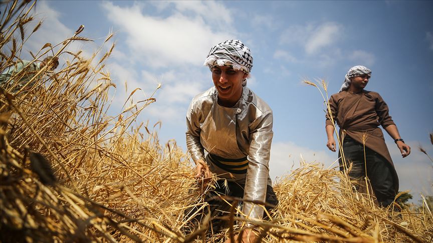 مذكرة تفاهم بين الزراعة ومؤسسة العمل ضد الجوع لدعم القطاع الزراعي