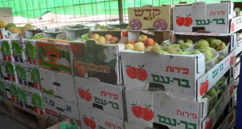 اتحاد الفلاحين: سنمع ادخال الفاكهة لغزة رداً على شروط الاحتلال