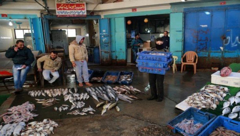 غزة تُسوق 766 طن سمك في الضفة الغربية خلال 2021