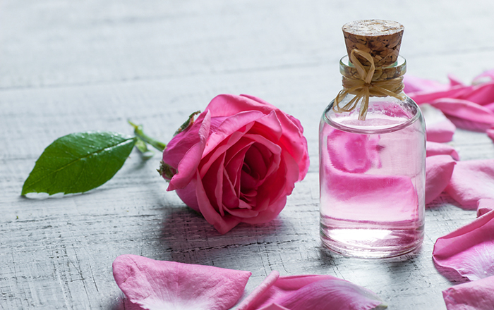 ماء الورد.. تعرف على فوائده العلاجية وكيف يُصنع يدوياً