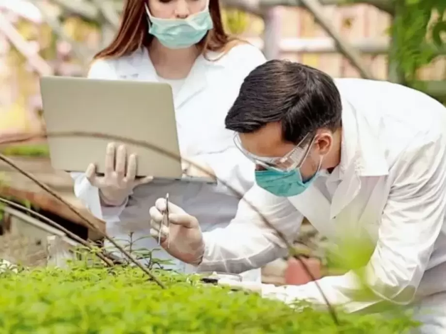 كندا..إنتاج أول لقاح نباتي ضد فيروس كورونا