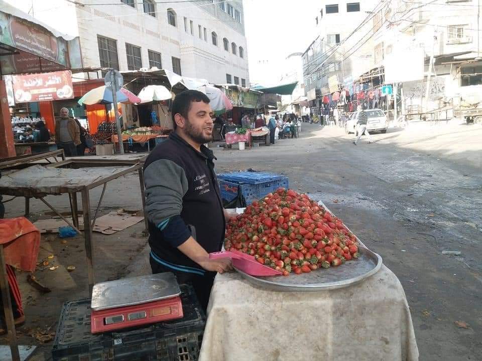 يدرس الدكتوراه.. ما قصة بائع الفراولة في غزة؟