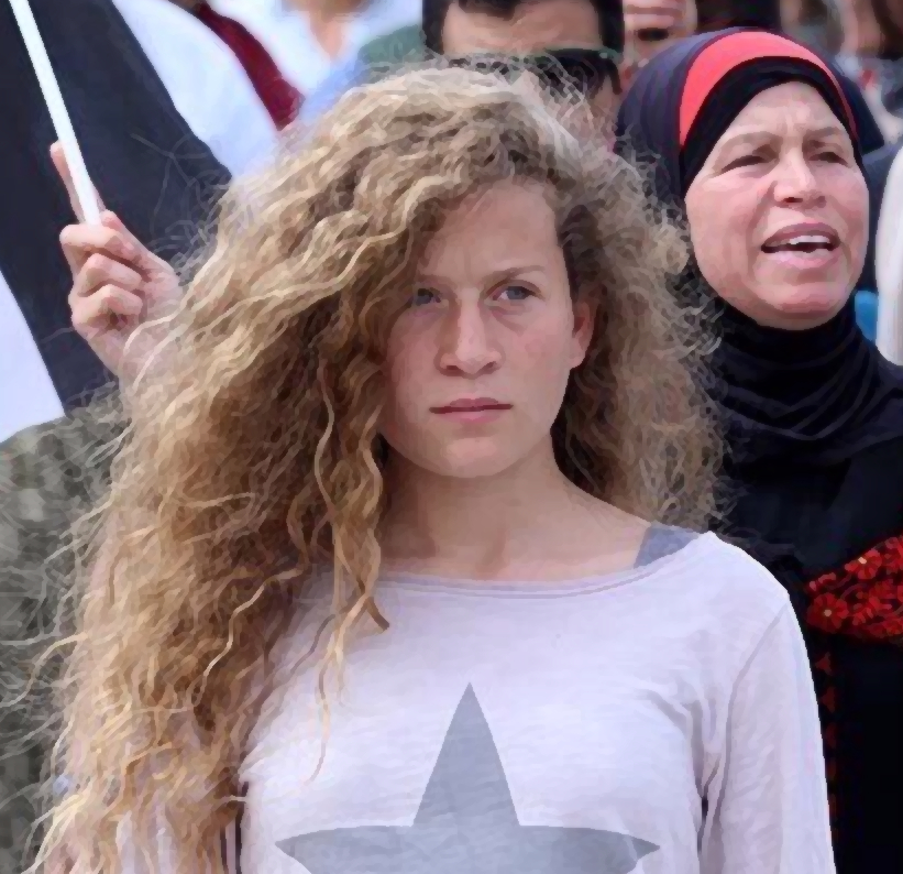 مغردون يتصدّون لتزييف للحقائق واستغلال النضال بصورة عهد التميمي