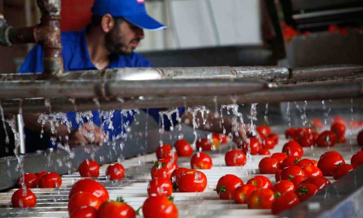 الاحتلال يوافق على تسويق كافة منتجات مصانع غزة الغذائية في الضفة الغربية