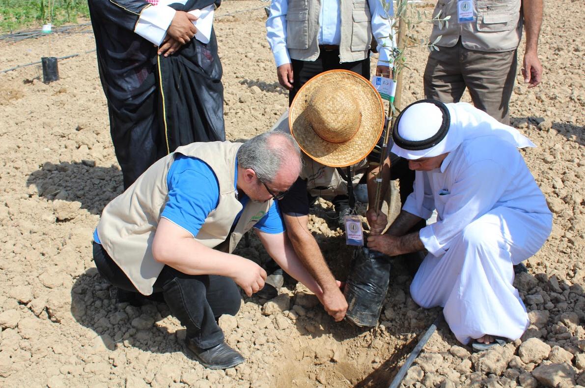 جمعية نطوف تُنظم فعالية لزراعة أشجار الزيتون في محافظة غزة