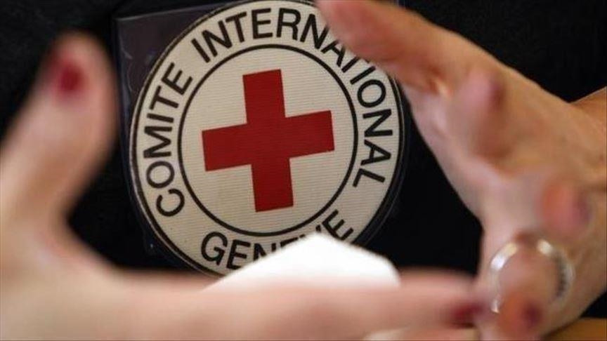 الصليب الأحمر: أهالي أسرى من غزة يزورون ذويهم في سجن إيشل