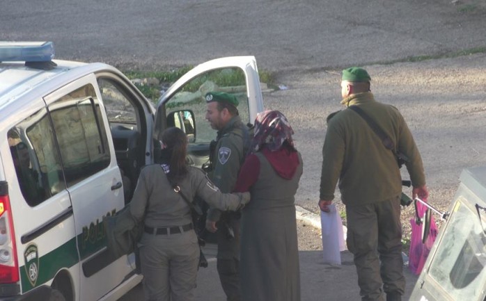 الاحتلال يعتقل فتاة من باب العامود ويقتادها للتحقيق