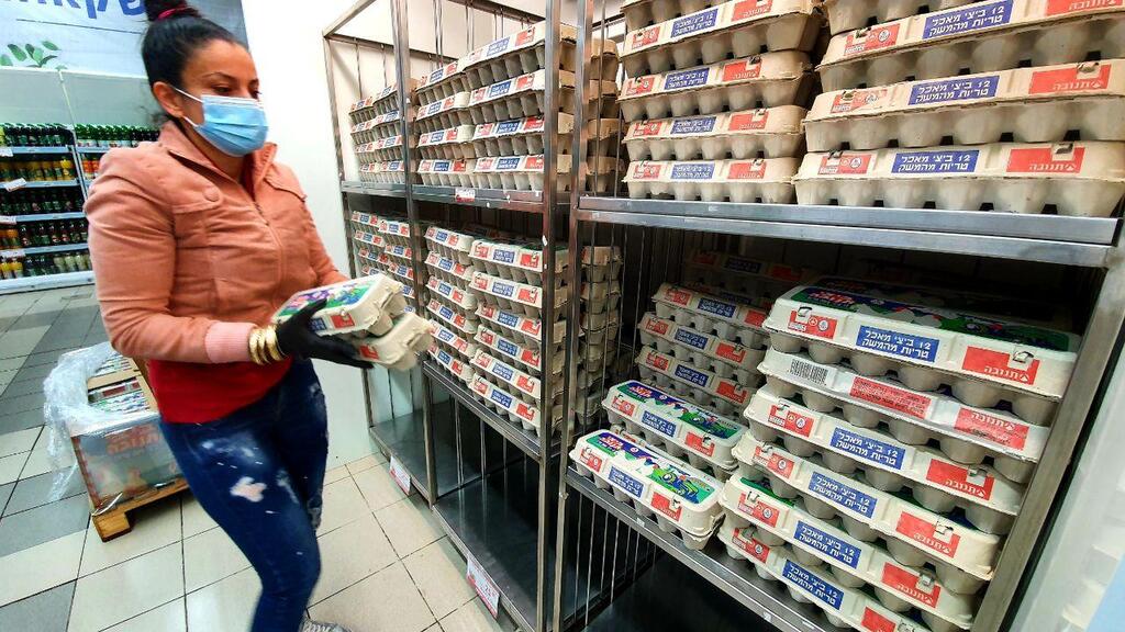 الزراعة الإسرائيلية ترفع أسعار البيض بنسبة 7.2%
