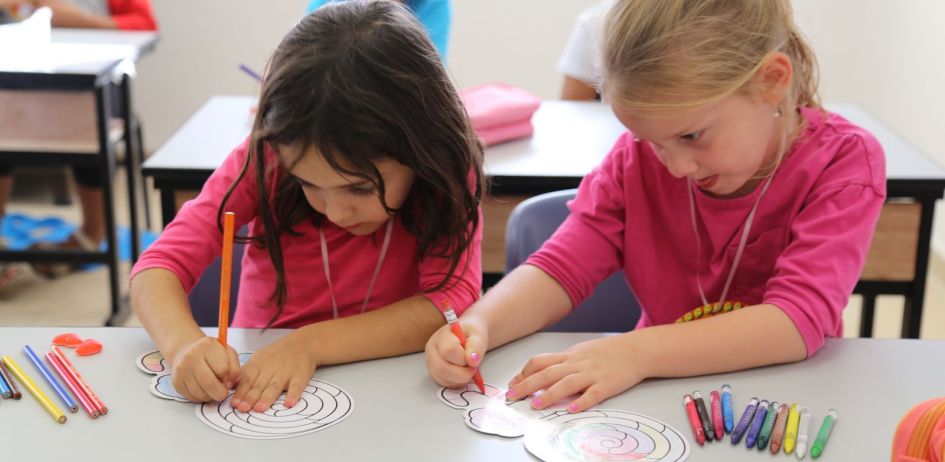 يجدر بإسرائيل عدم الاندماج مع محيطها في مجال التعليم.. بقلم: ايال زيسر