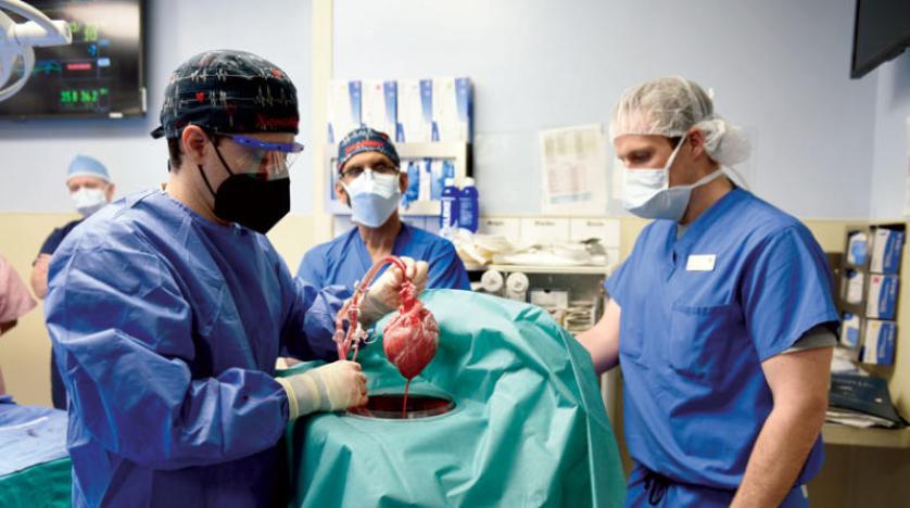 نجاح عمليتي زرع قلبي خنزيرين لشخصين ميتين دماغياً
