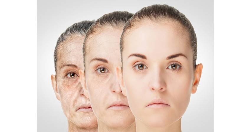 ابتعدي عنها فورًا.. منتجات ومواد غذائية تسبب الشيخوخة المبكرة
