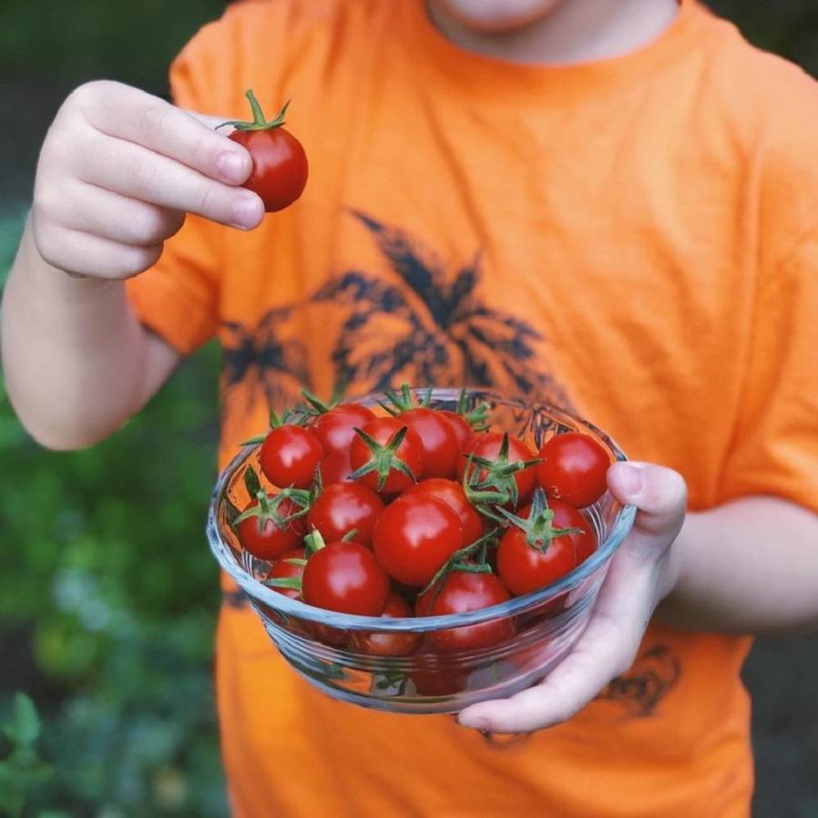 إنفلونزا الطماطم.. فيروس جديد ينذر بكارثة صحية بين الأطفال فما هو؟