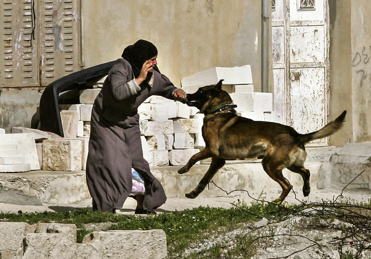 تحقيق يكشف إرغام قوة من جيش الاحتلال فلسطينيات في الخليل على خلع ملابسهن