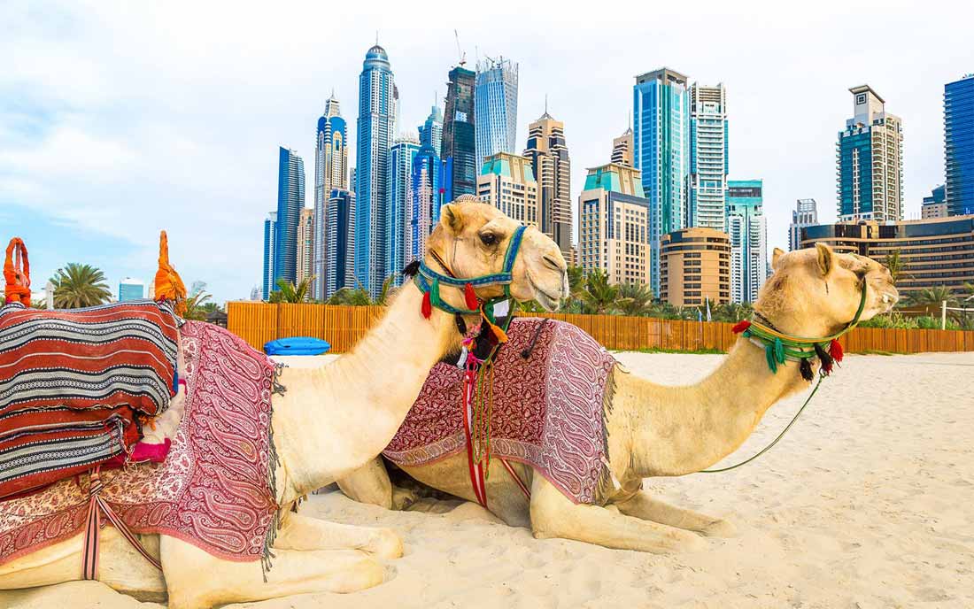 السياحة في الامارات تحقق عائدات تتجاوز 5 مليارات دولار خلال 6 أشهر