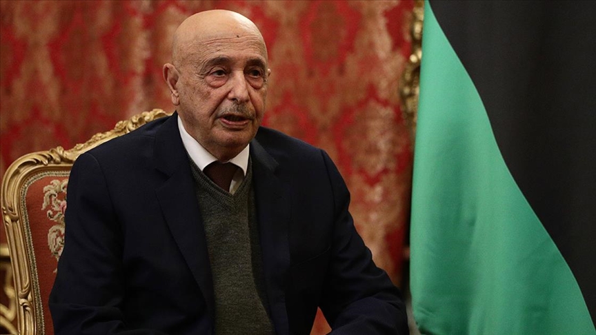 النواب الليبي يقيل رئيس المحكمة العليا ويقرر إعادة تنظيمها
