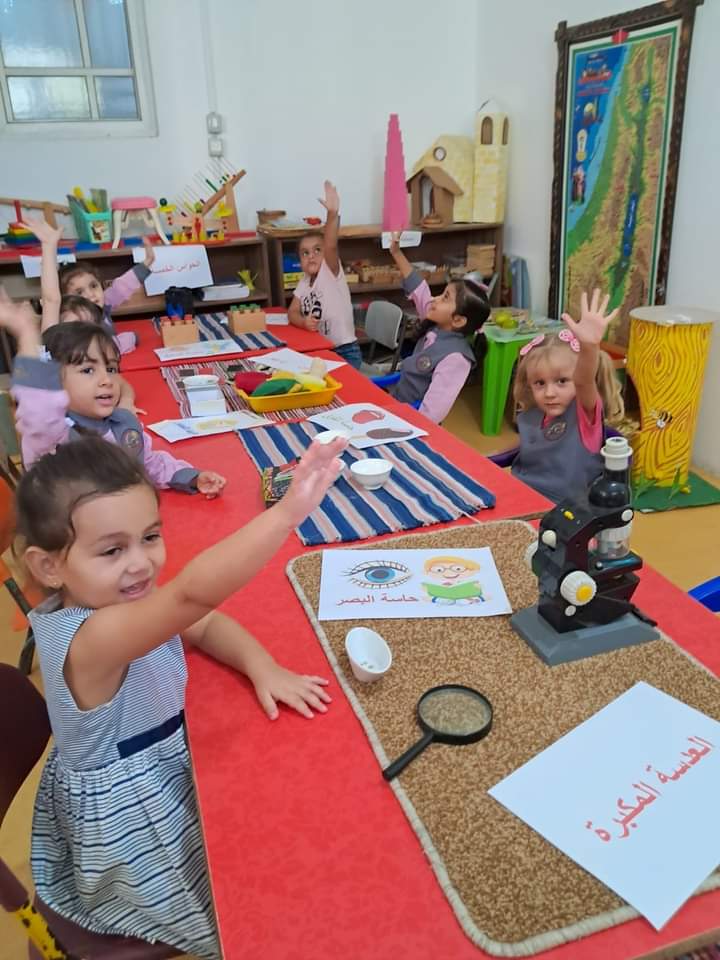 علوم
