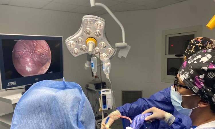 نجاح عملية زراعة أمعاء لرضيعة من جثمان متوفى