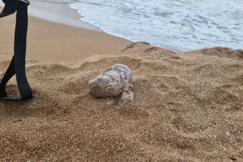 حشيش