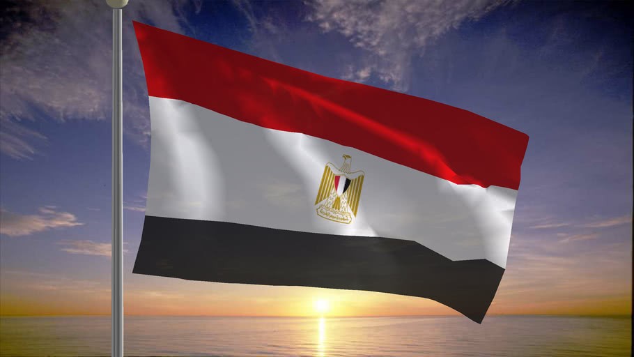 مصر تطرد 11 طياراً إسرائيلياً