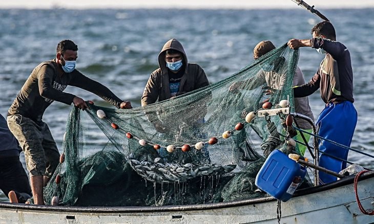 لجان الصيادين: حظر تصدير الأسماك نوع جديد من العقوبات الجماعية على غزة