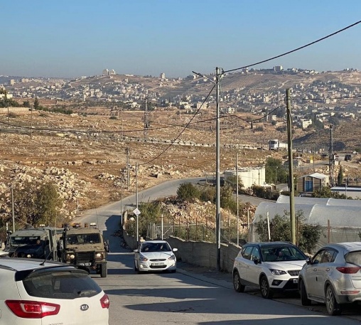 مدرسة ذكور تقوع