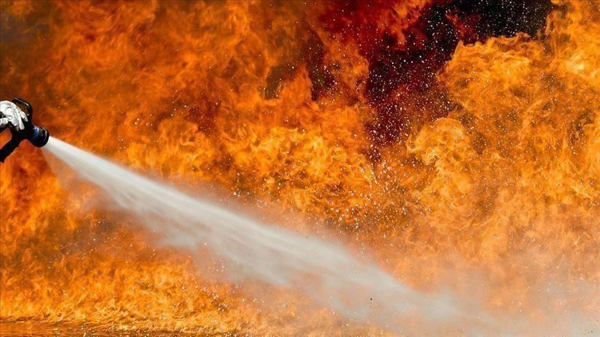 تشيلي تعلن حالة الطوارئ في مدينة سياحية بسبب الحرائق