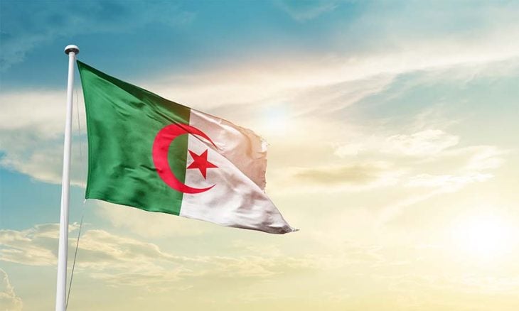 الجزائر تخصص مليار دولار لدعم المشاريع التنموية في أفريقيا
