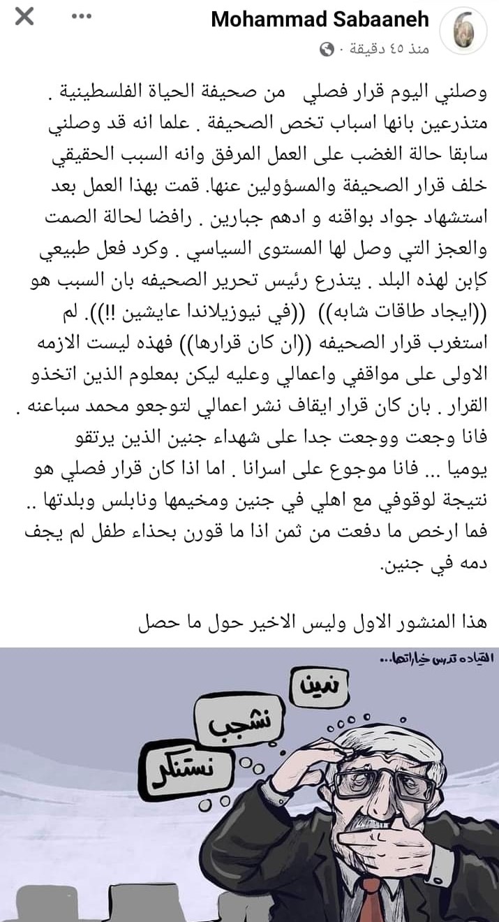 رسام محمد سباعنة